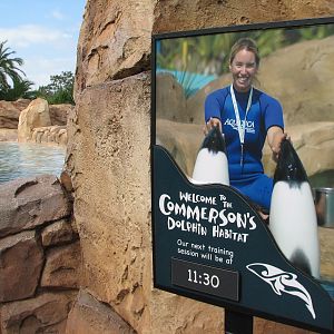 Aquatica - Dolphin Plunge - Commerson's Dolphin Exhibit Sign