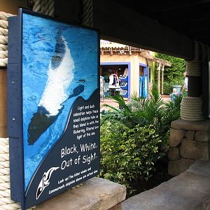 Aquatica - Dolphin Plunge - Commerson's Dolphin Exhibit Sign
