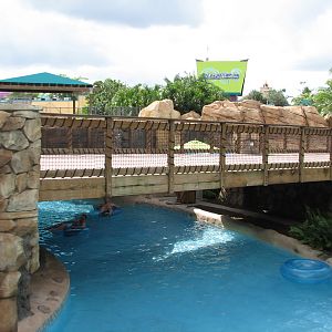 Aquatica - Loggerhead Lane Exit from Dolphin Plunge Underwater Viewing