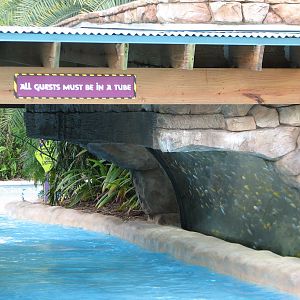 Aquatica - Fish Grotto