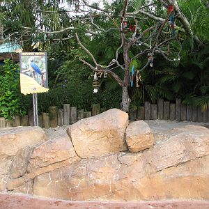 Aquatica - Marvelous Macaws Exhibit