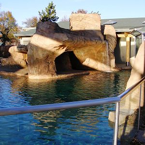 Helmerich Sea Lion Cove