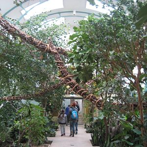Artis Zoo - New rainforest house