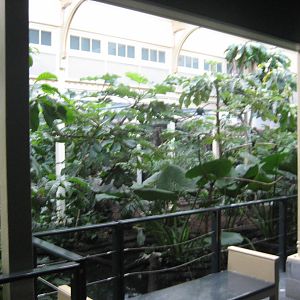 Artis Zoo - New bird house