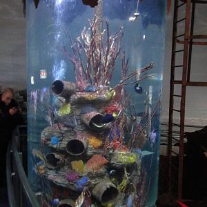 Red Sea Wreck (30/12/2011)