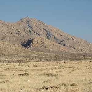 Iran's small African