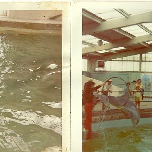 Dolphin House 1970 left, 1975 or 1976 right