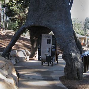 new native wildlife kiosk