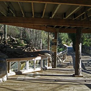 walkway and burrowing owl exhibit
