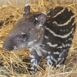 Just wait until I grow up!