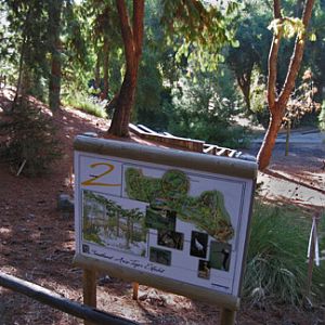 future tiger exhibit