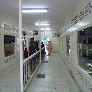 Inside the reptile house
