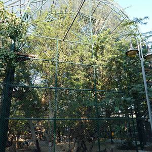 Large aviary