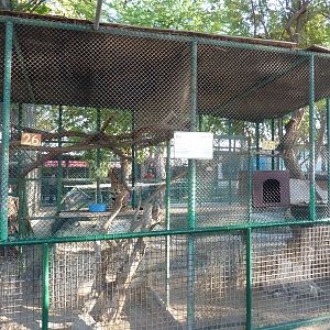 Serval enclosure