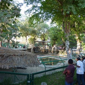 Nile crocodile enclosure