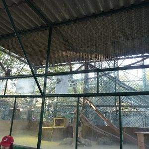 Common marmoset enclosure