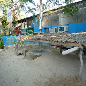 Reptile enclosure