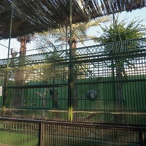 Chimpanzee cage