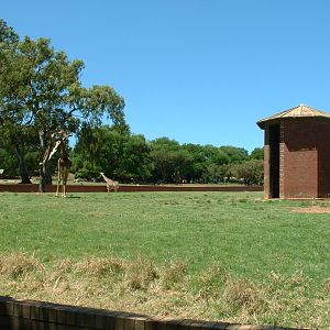 Johannesburg Zoo - Oct 2011