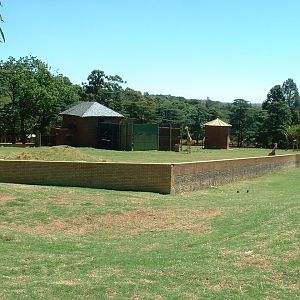 Johannesburg Zoo - Oct 2011