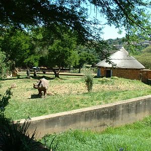 Johannesburg Zoo - Oct 2011