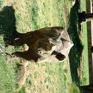 Johannesburg Zoo - Oct 2011
