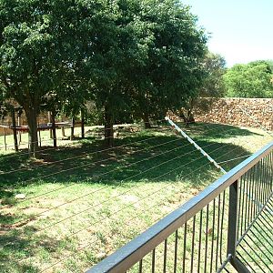 Johannesburg Zoo - Oct 2011