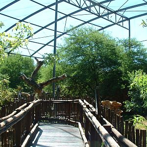 Johannesburg Zoo - Oct 2011