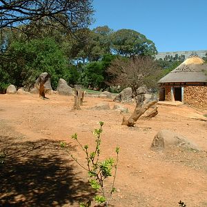 Johannesburg Zoo - Oct 2011