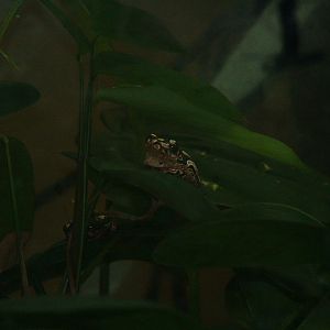 Johannesburg Zoo - Oct 2011