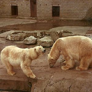 Mandy and Marcus circa 1981