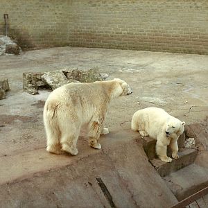 Marcus and mandy early 1980s