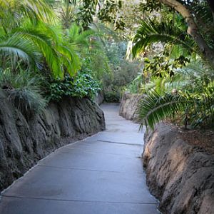 path to hippos