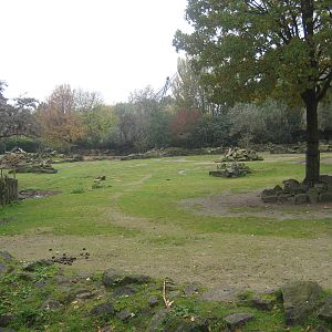 Diergaarde Blijdorp - Asian steppe