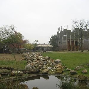 Diergaarde Blijdorp - Savannah and giraffe house