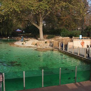 Penguin Beach at London, 16/11/11