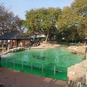 Penguin Beach at London, 16/11/11