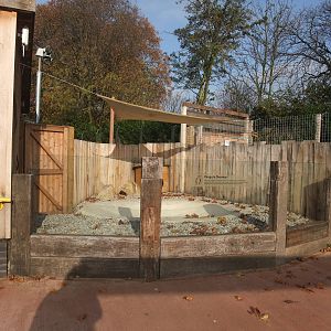 Penguin Beach at London, 16/11/11