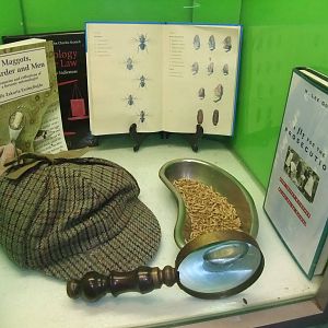 Bluebottle Maggot Exhibit at London, 16/11/11