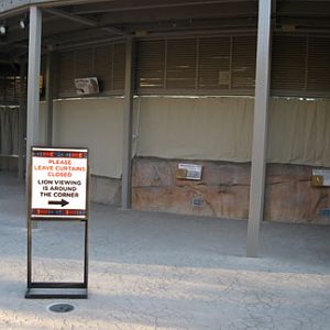 curtains to block lions from cheetahs