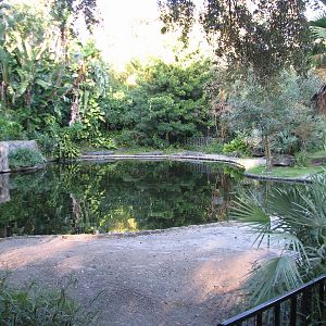 Morocco - American Alligator Exhibit