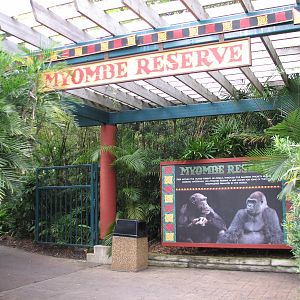 Myombe Reserve - Entrance