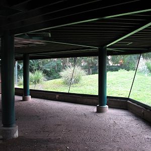 Myombe Reserve - Chimpanzee Exhibit