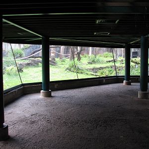 Myombe Reserve - Chimpanzee Exhibit