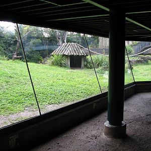 Myombe Reserve - Chimpanzee Exhibit