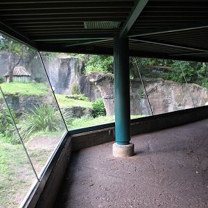 Myombe Reserve - Chimpanzee Exhibit