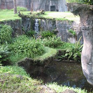Myombe Reserve - Chimpanzee Exhibit