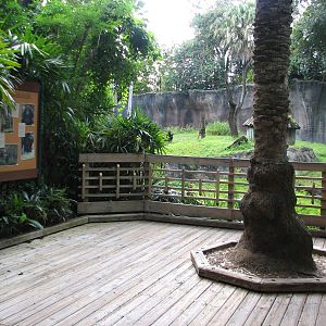Myombe Reserve - Chimpanzee Exhibit