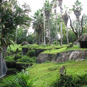 Myombe Reserve - Chimpanzee Exhibit