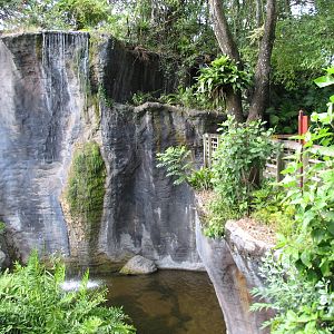 Myombe Reserve - Chimpanzee Exhibit